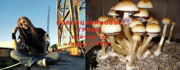 винт Арсеньев