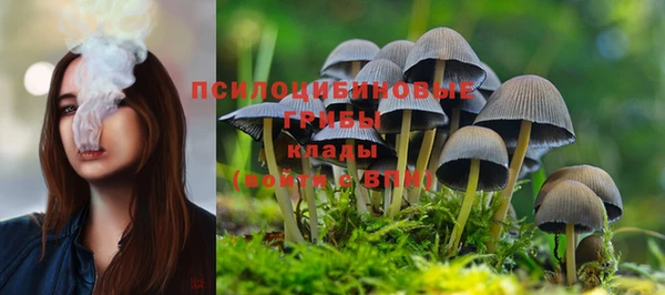 mdpv Аркадак