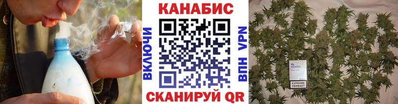 Конопля Ganja  Осташков 